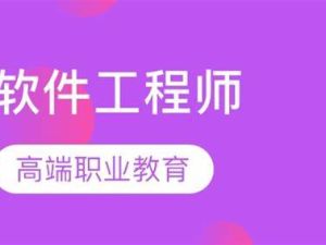 软件工程师考试